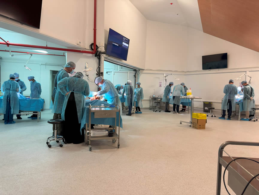 Διήμερο πρακτικό σεμινάριο στα εμφυτεύματα και σε τεχνικές οστικής ανάπλασης σε νωπά ανθρώπινα παρασκευάσματα.