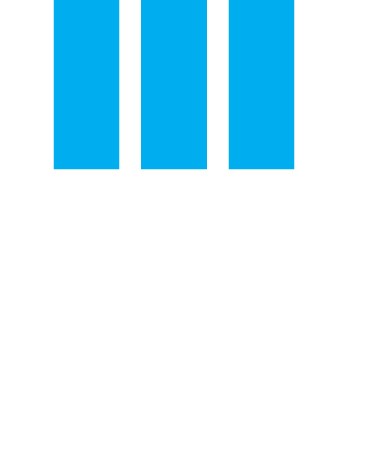 3P logo white