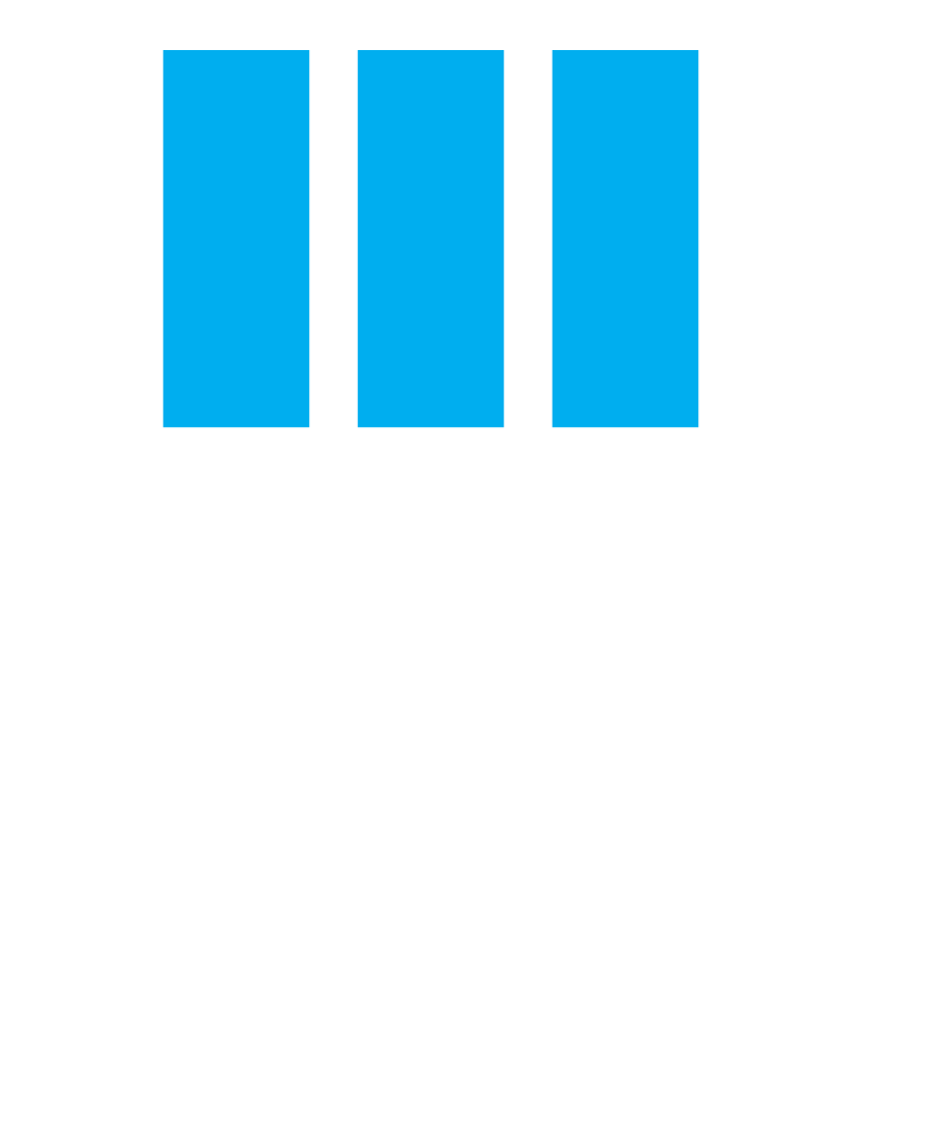 3P logo white
